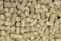 Marbury biomass boiler costs